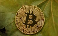 欧易钱包提币用什么费用？一文读懂提币手续费规则