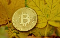 加密货币投资实战指南如何稳健实现币种盈利
