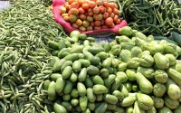 欧艺区块链APP助力食物溯源与绿色消费