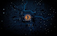 数字货币如何真正赚到钱实战指南与避坑手册
