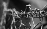 - 误导读者将资金投入不安全的平台，造成实际财产损失