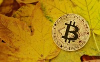 哪个币最赚钱揭秘加密货币投资的核心逻辑与实战策略